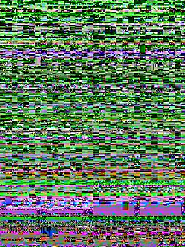 _HESOYAM webcam