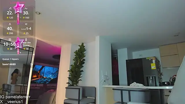 _veenus webcam