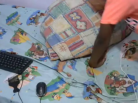 playfullnova webcam