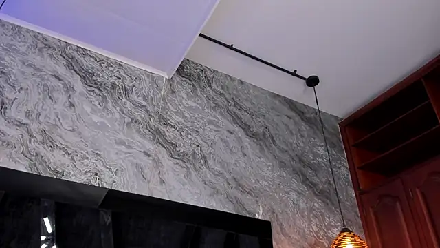 Kendall_Rous_ webcam