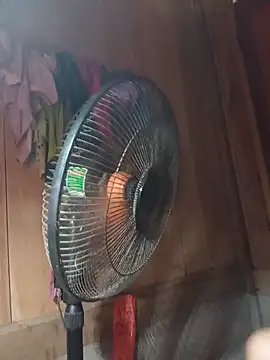 Lily-ly webcam
