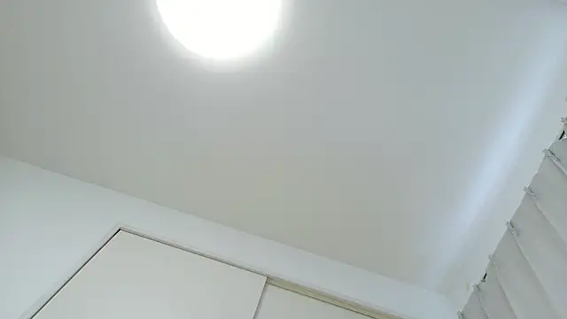 Miku_0