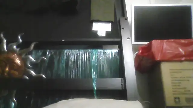 toosexy4myshirt webcam