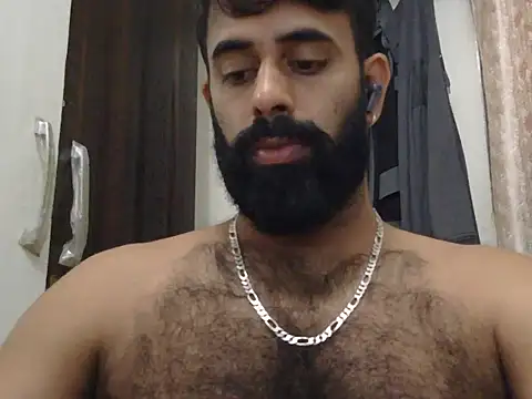 indianhairybull webcam