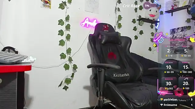 andrew_fitflex webcam