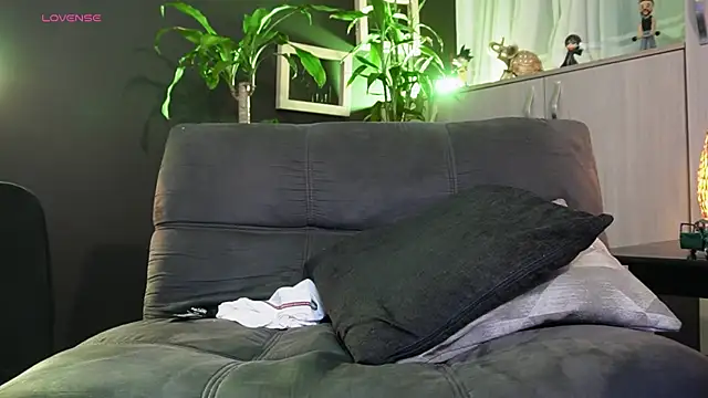 LincomAmith webcam
