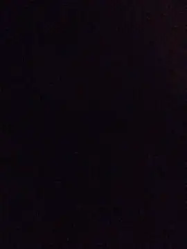 elpeluchenegroxxx3 webcam