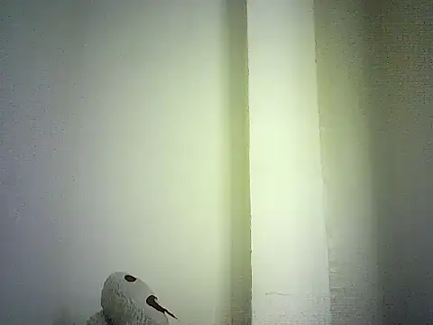 DelteAfriq webcam