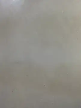 nasty-sexygal webcam