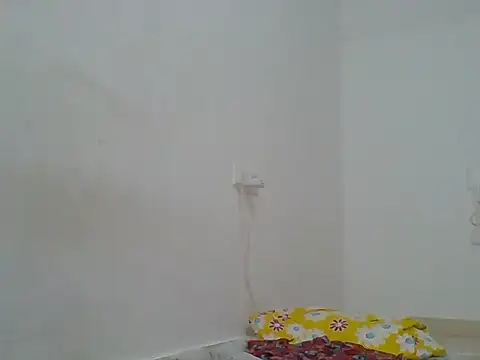 hotty_assy webcam