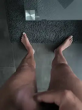 bi_48 webcam