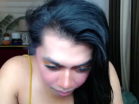 iredessa webcam