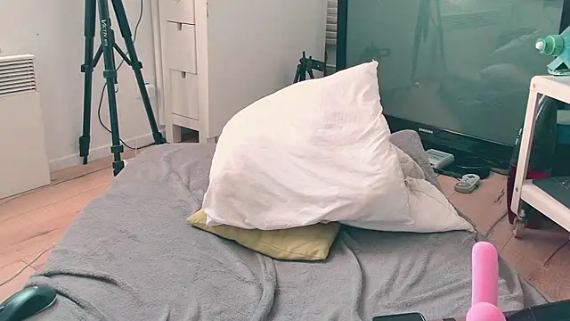 CeriseLapine webcam