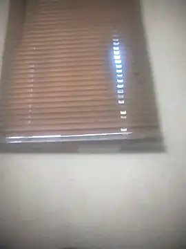 zuludog webcam