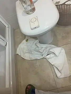 thissma webcam