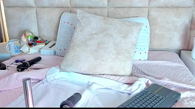 LizSheibaum webcam