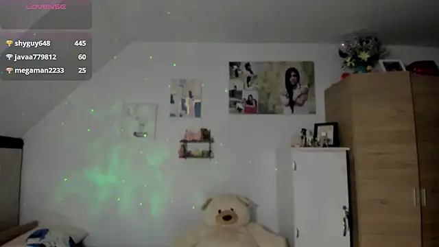 Veronikolsen- webcam