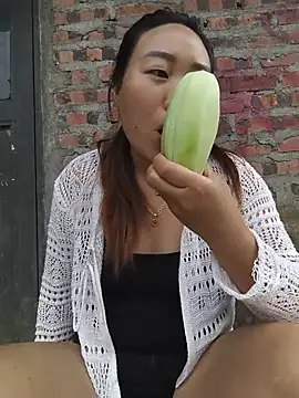 he-se-kin webcam