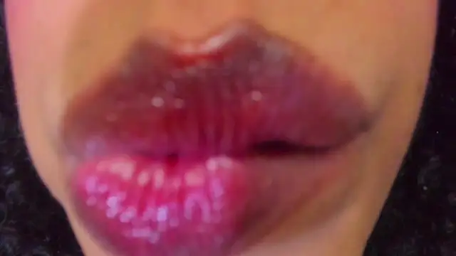 Evaalux webcam