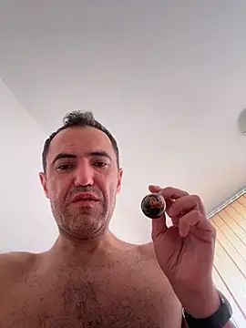 kotkite webcam