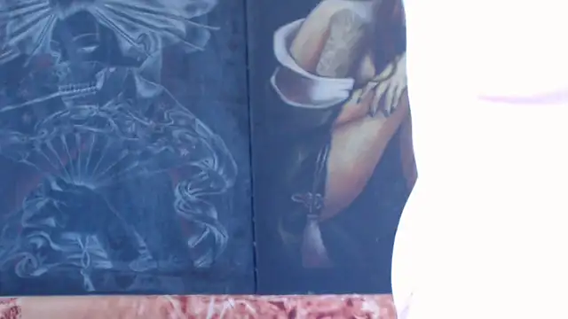 viking_30 webcam