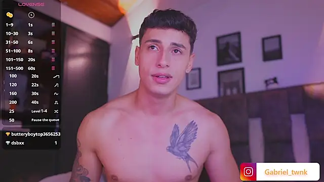 I_Gabriel webcam