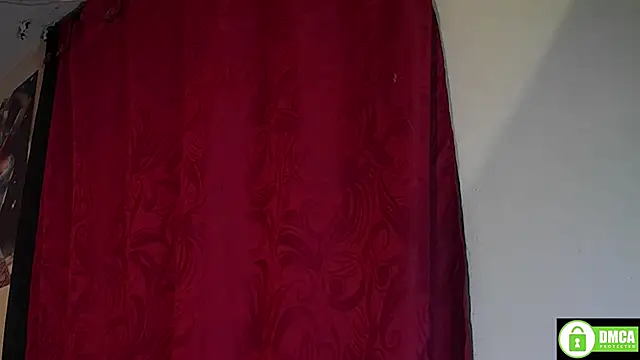 StarElii webcam