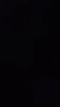 ZeldaSneakyLink webcam