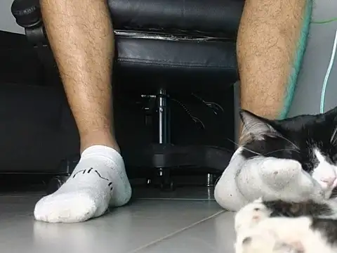 He_andshe webcam