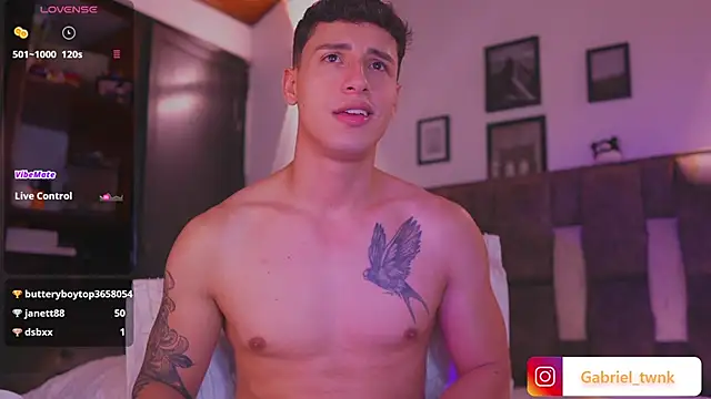 I_Gabriel webcam