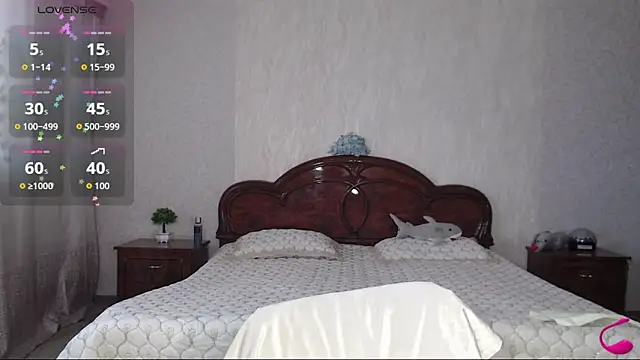 Batari webcam