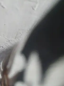 hot_boy-01 webcam