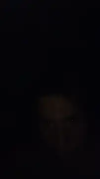 ZeldaSneakyLink webcam