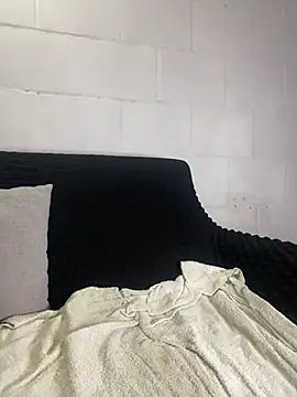 Ms171 webcam
