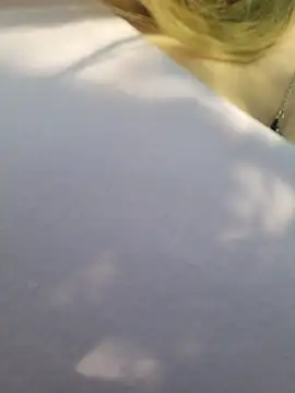 Dirtyfeelin webcam