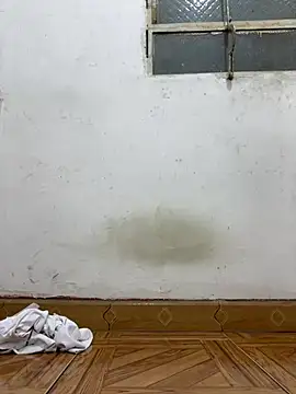 ikaro21 webcam