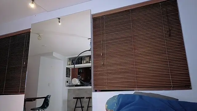 Salomelevis webcam