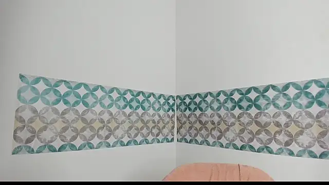 Agatha_fox7 webcam