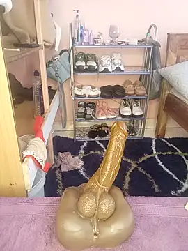 Rilaveta webcam