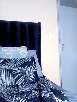 Nicollet2 webcam