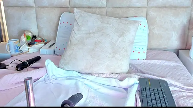 LizSheibaum webcam