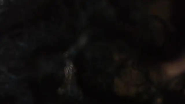 Evaalux webcam
