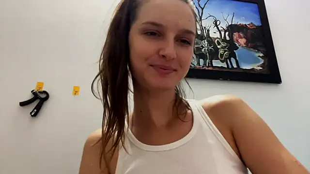 VanMendrin webcam