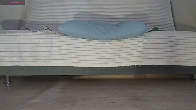 Fecvht45 webcam