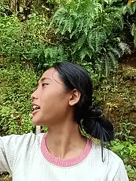hoa-tuylip