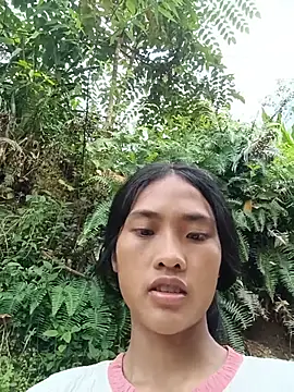 Hoa-tuylip webcam