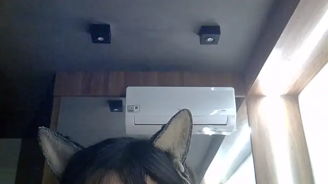 SkinnyKitten webcam