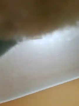 shaynarg webcam