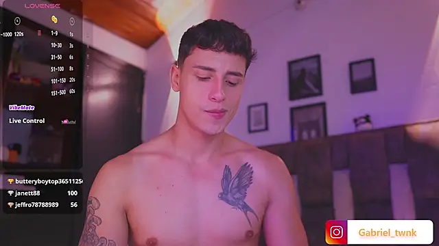 I_Gabriel webcam