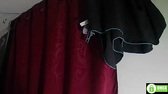 StarElii webcam